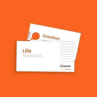Life Flashcards