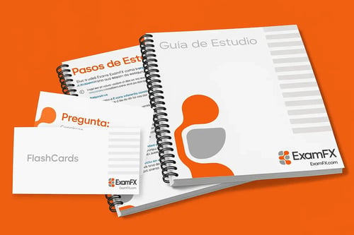 Spanish Life Study Guide